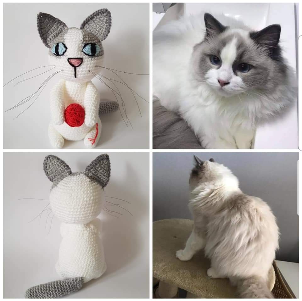 Kotki